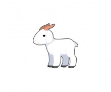 이미지