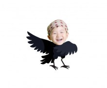 이미지