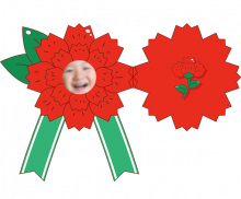 이미지