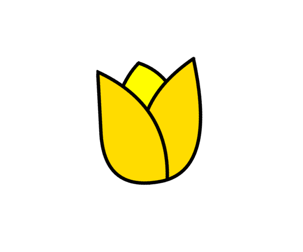 튤립