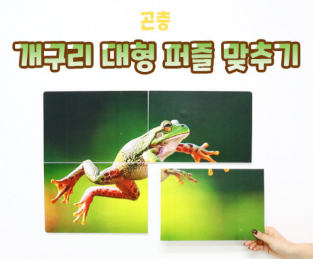 개구리 대형 퍼즐 맞추기