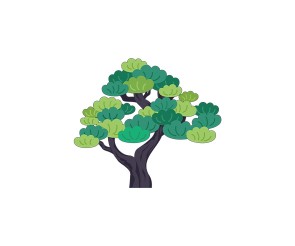 소나무