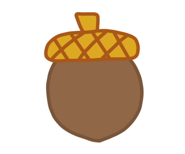 도토리