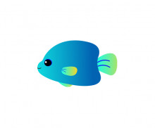 이미지