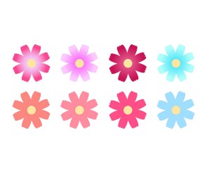 코스모스