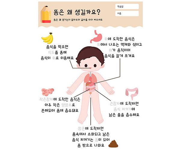 똥은 왜 생길까요