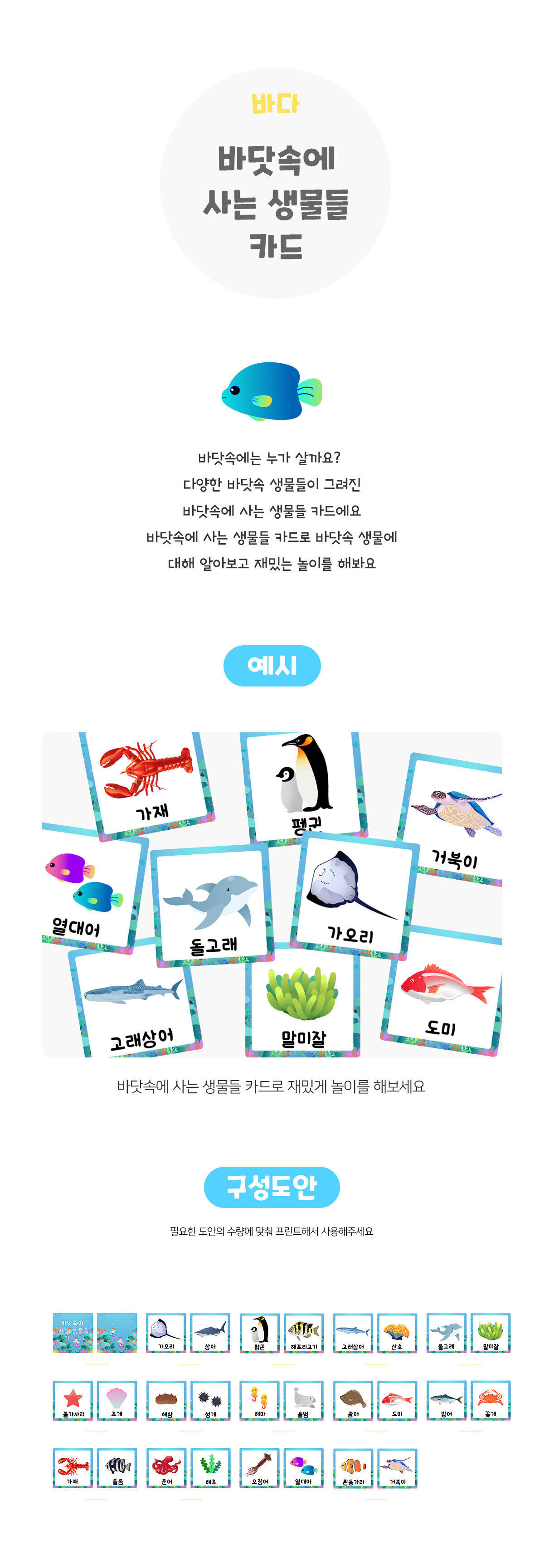 바닷속에사는생물들카드 바닷속에사는생물들카드