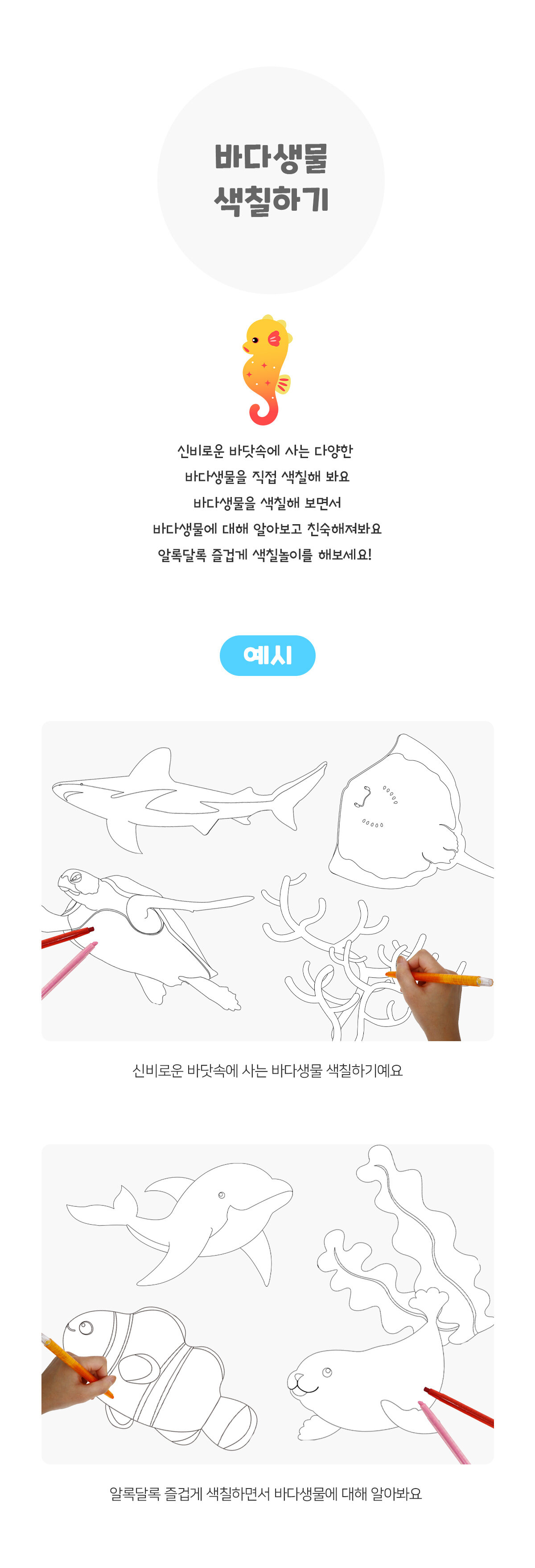 바다생물색칠하기