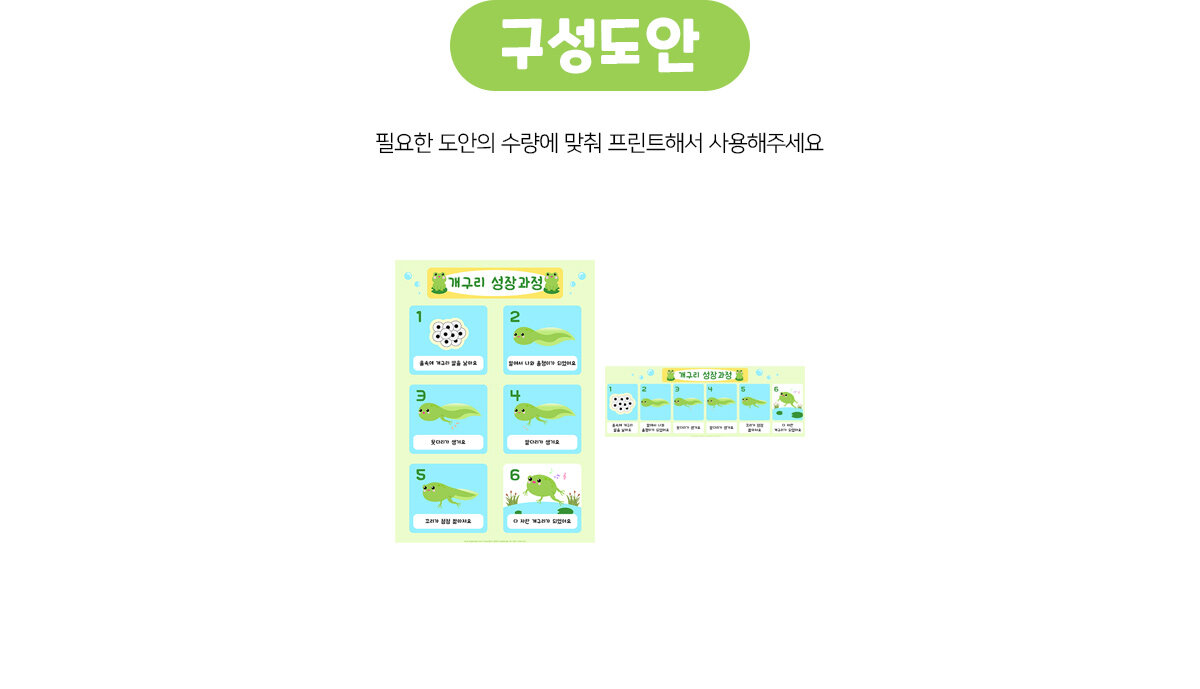 개구리성장과정포스터