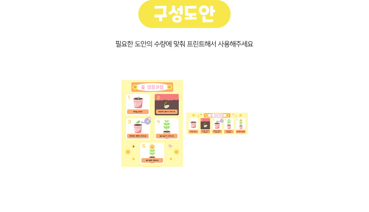 꽃성장과정포스터