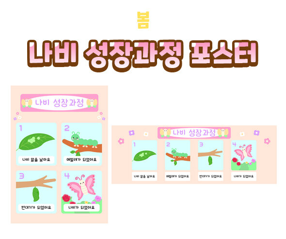 나비성장과정포스터