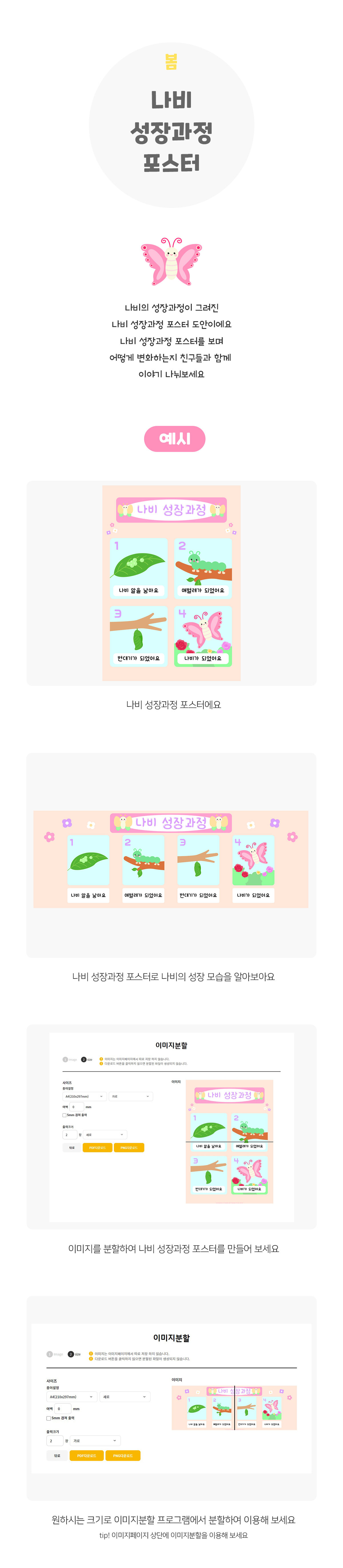 나비성장과정포스터