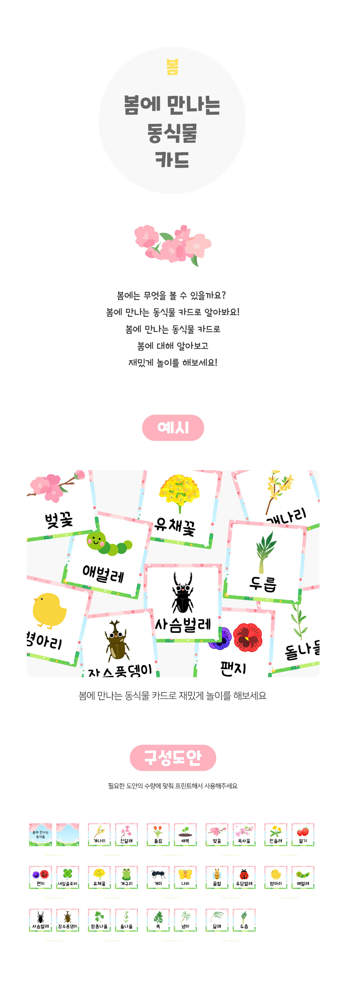 봄에만나는동식물카드