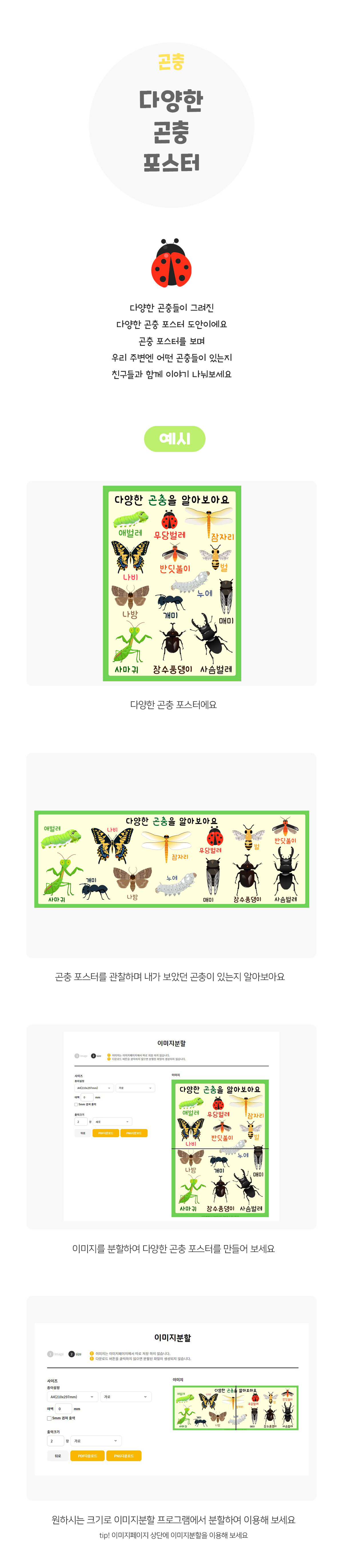 다양한곤충포스터 다양한곤충포스터