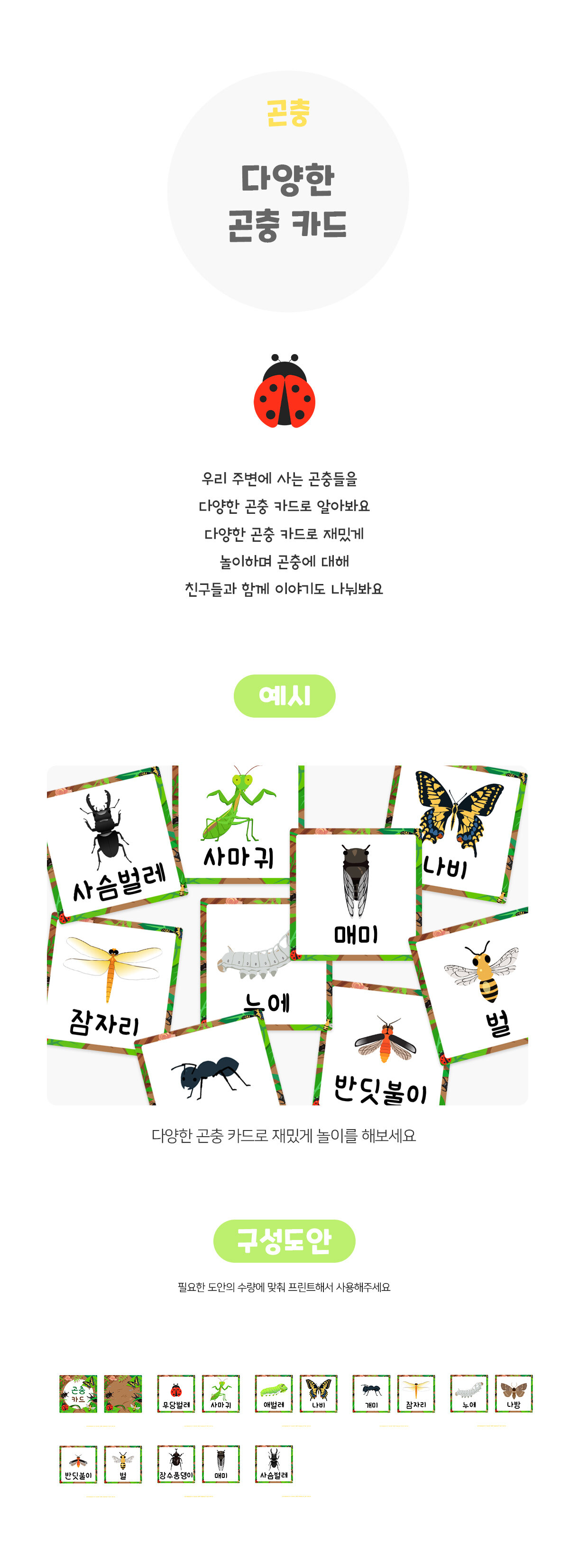 다양한곤충카드