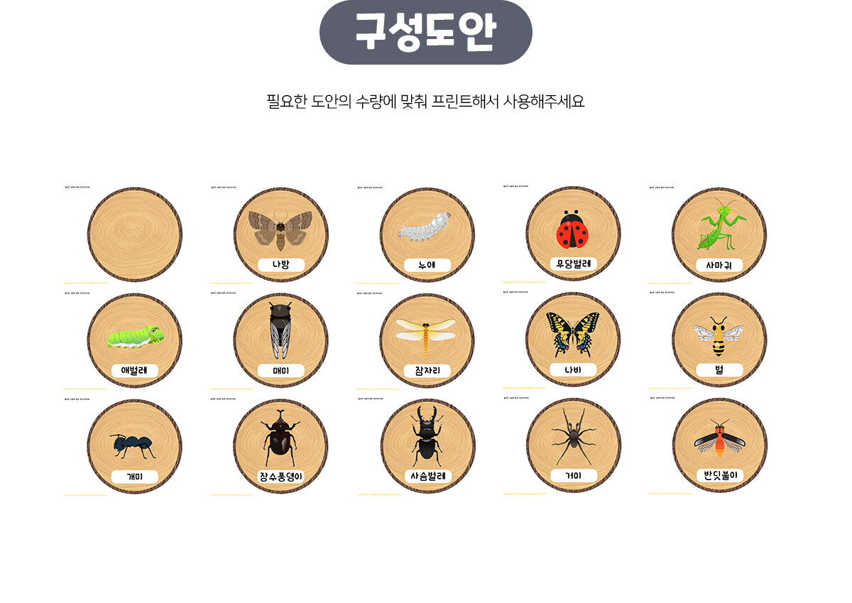 곤충징검다리놀이