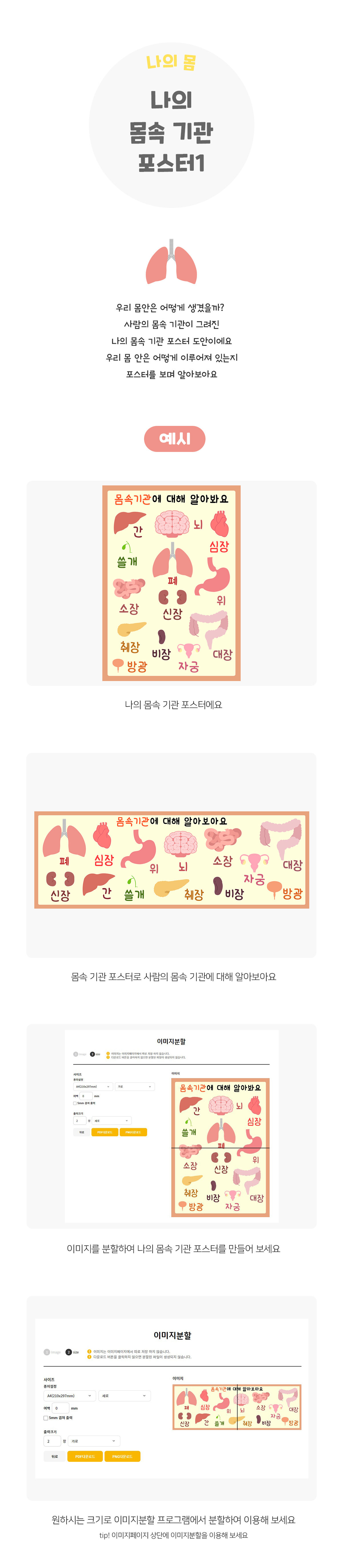 나의몸속기관포스터