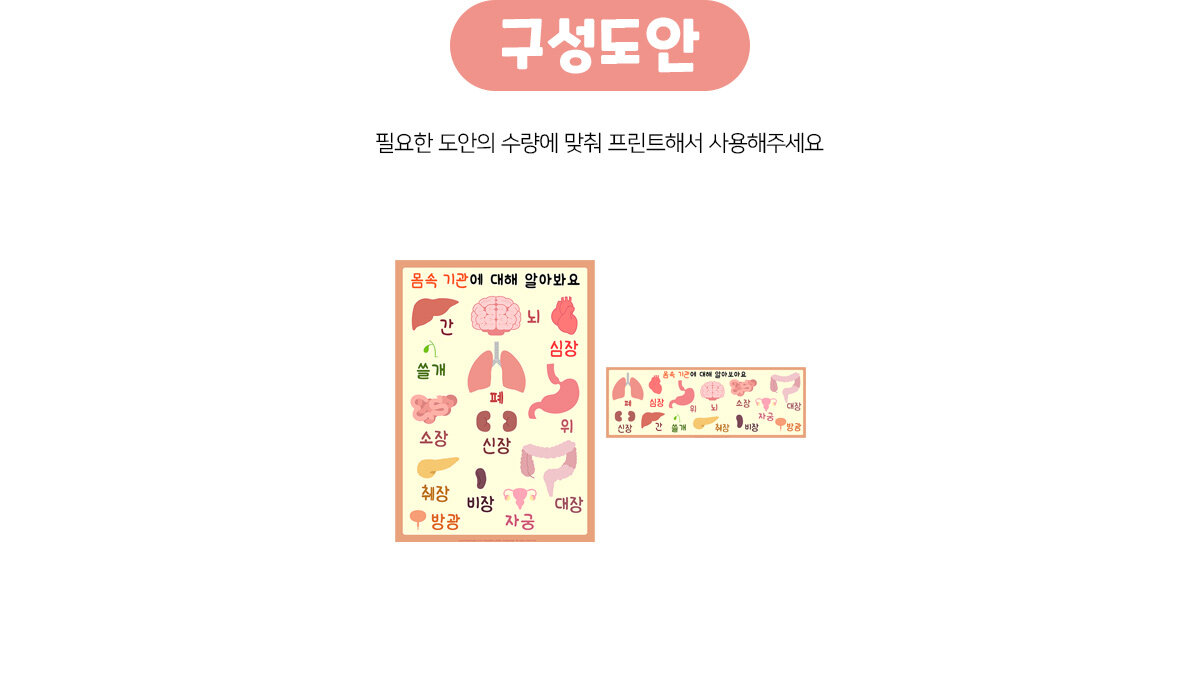 나의몸속기관포스터