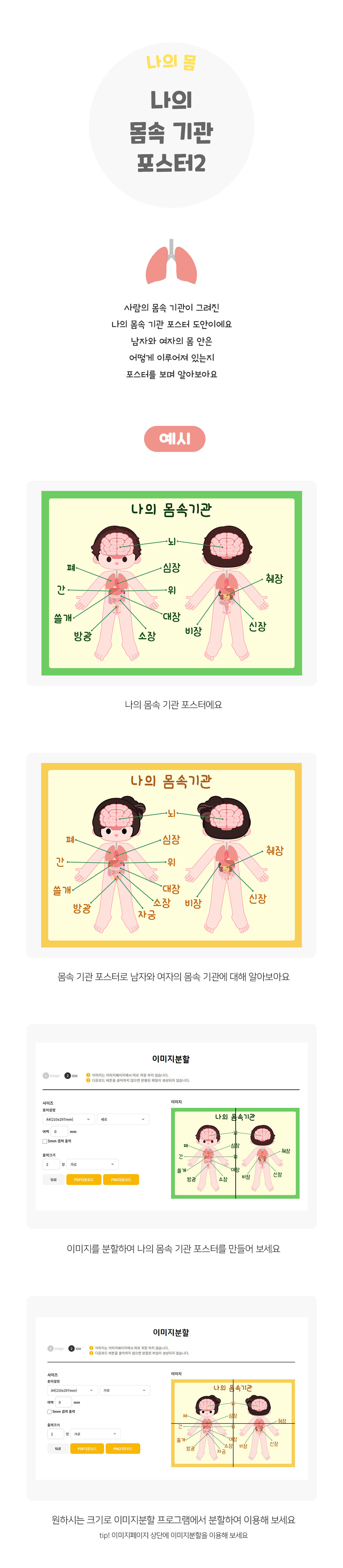 나의몸속기관포스터 나의몸속기관포스터