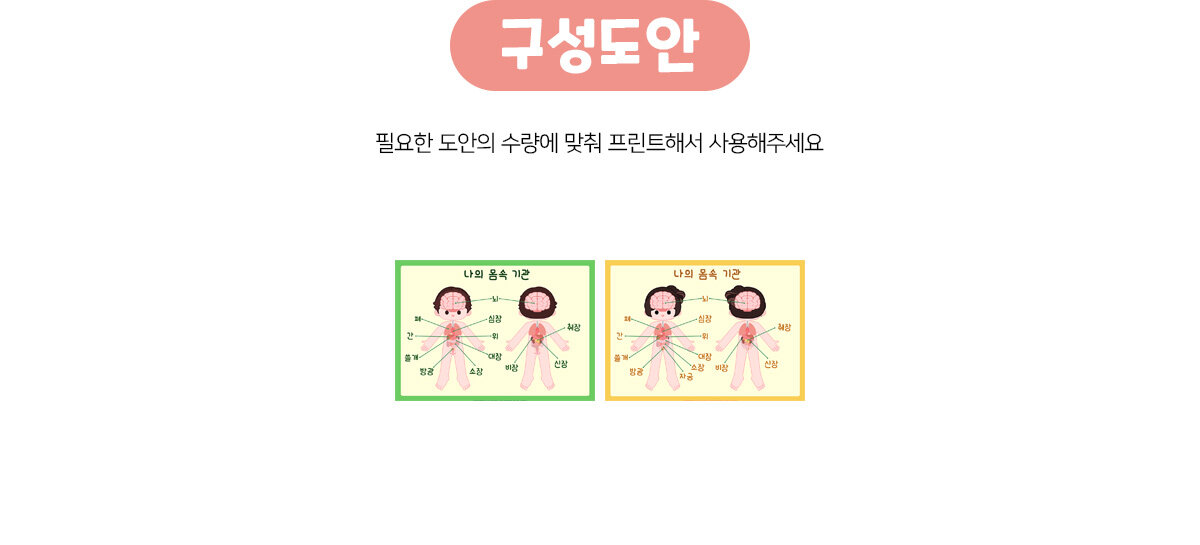 나의몸속기관포스터 나의몸속기관포스터