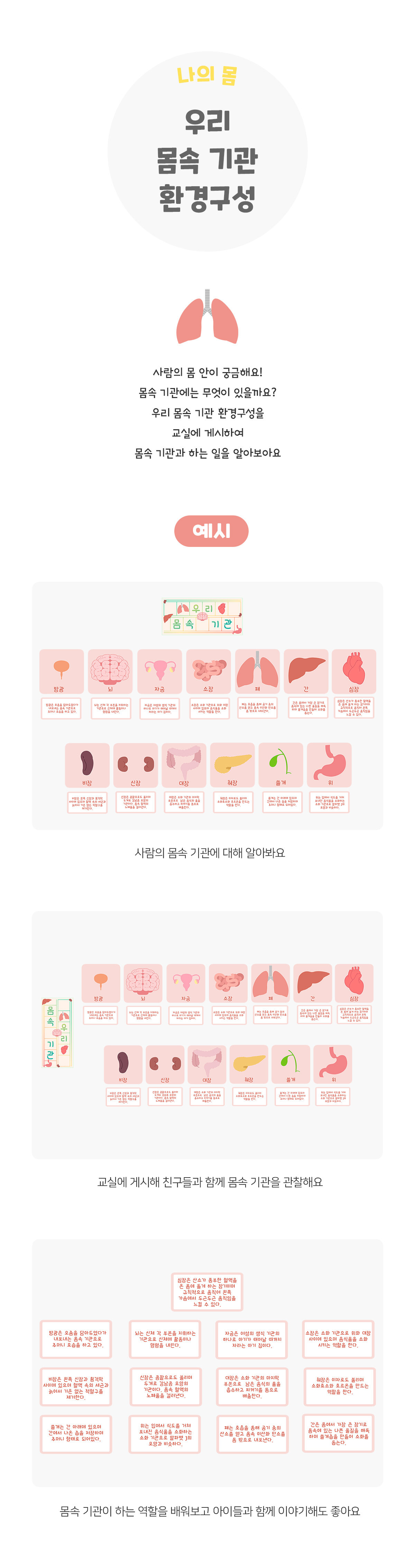 우리몸속기관환경구성