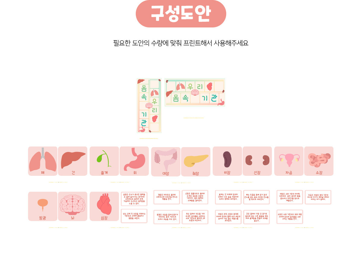 우리몸속기관환경구성