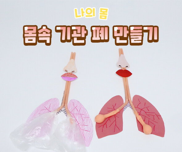 몸속기관폐만들기