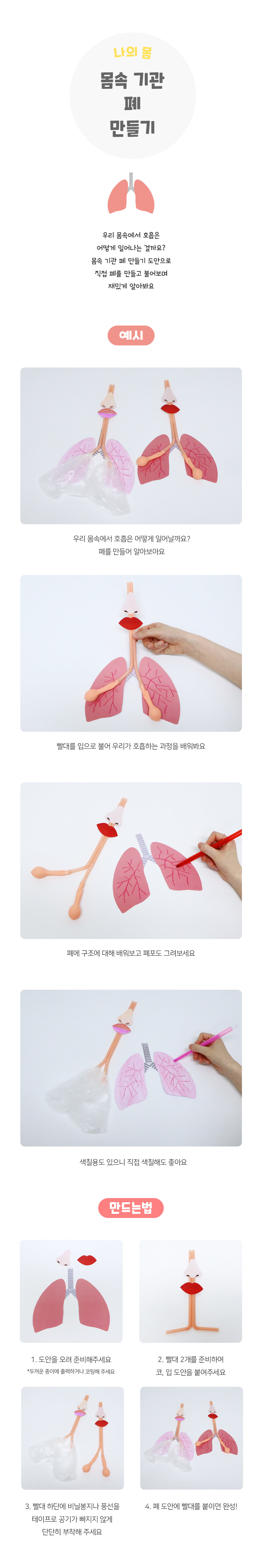 몸속기관폐만들기