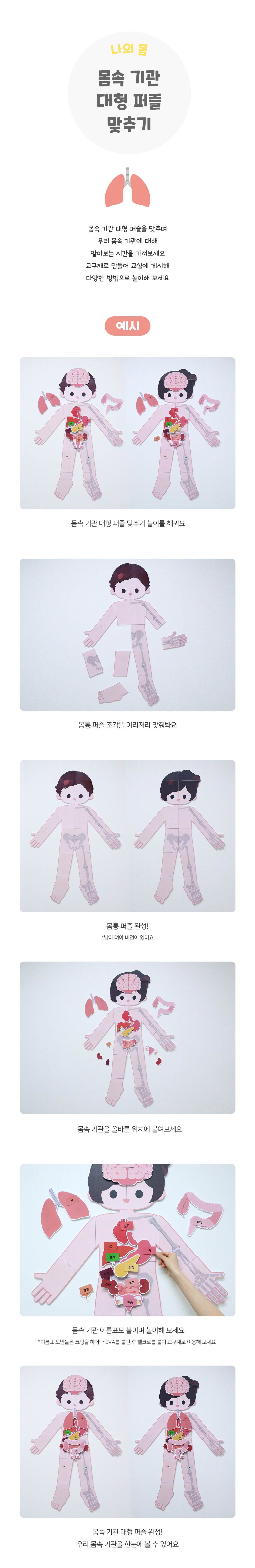 몸속기관대형퍼즐맞추기