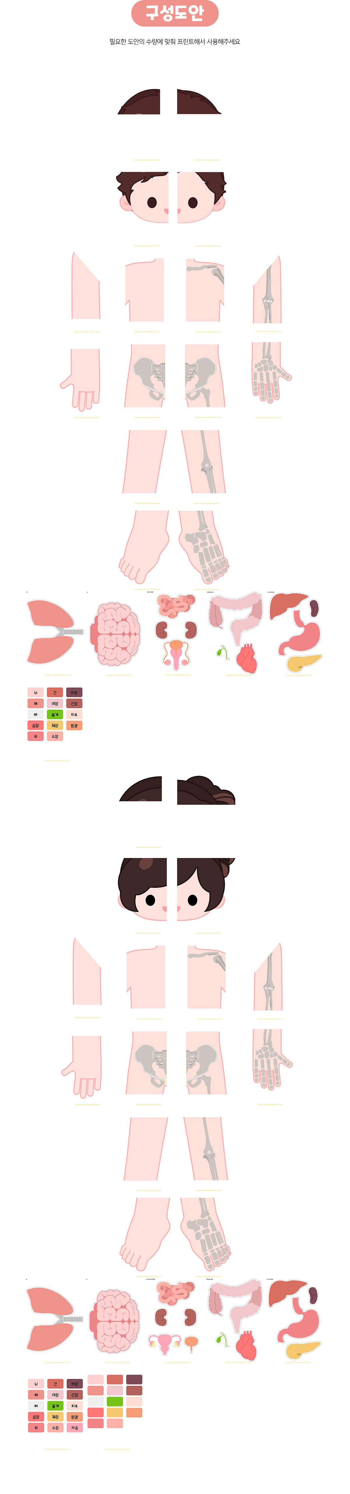 몸속기관대형퍼즐맞추기