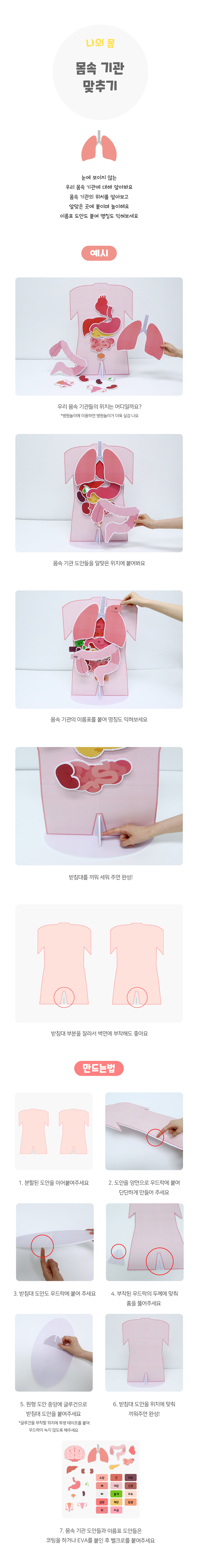 몸속기관맞추기 몸속기관맞추기