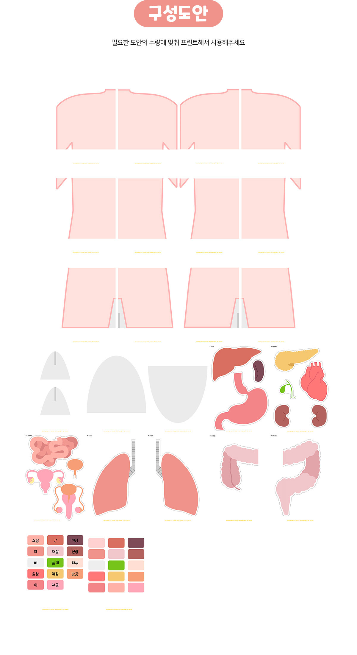 몸속기관맞추기 몸속기관맞추기