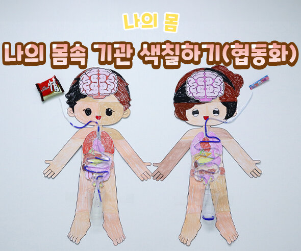 나의몸속기관색칠하기(협동화)