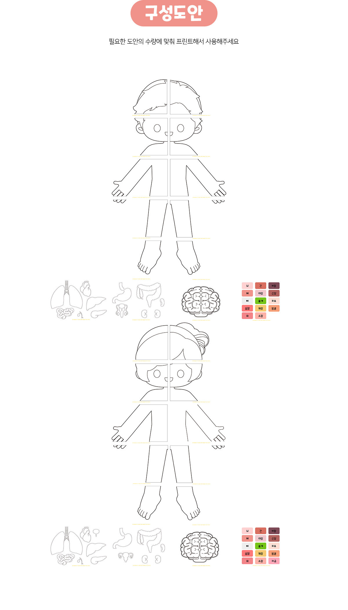 나의몸속기관색칠하기(협동화)