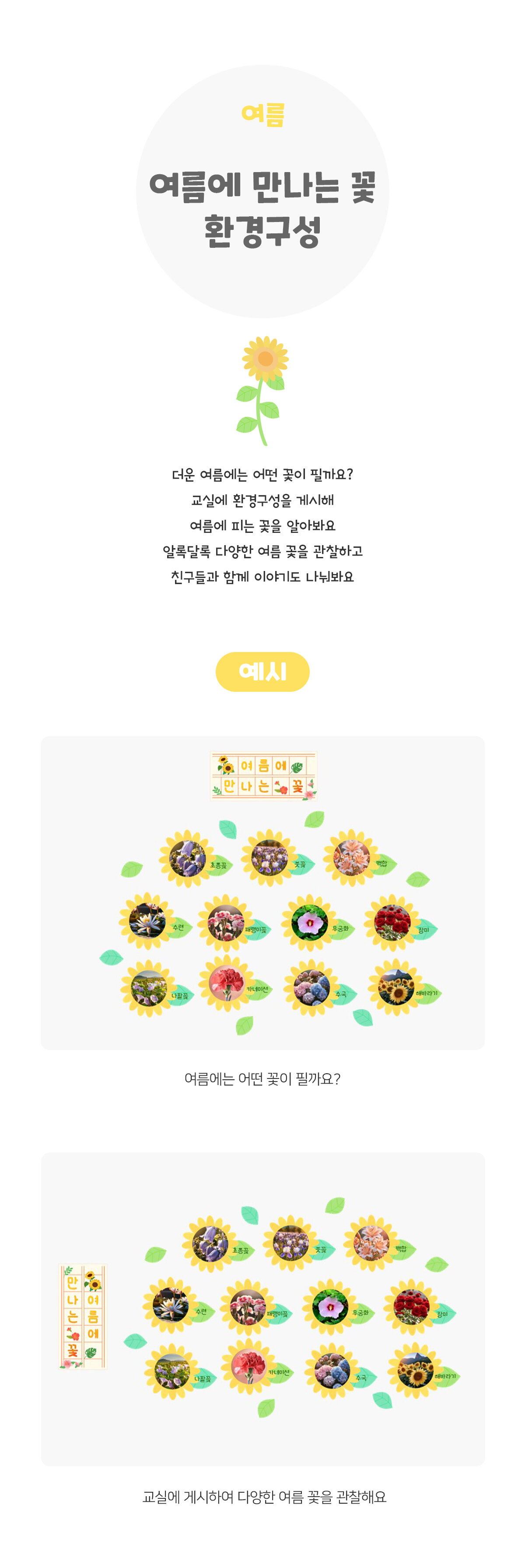 여름에만나는꽃환경구성