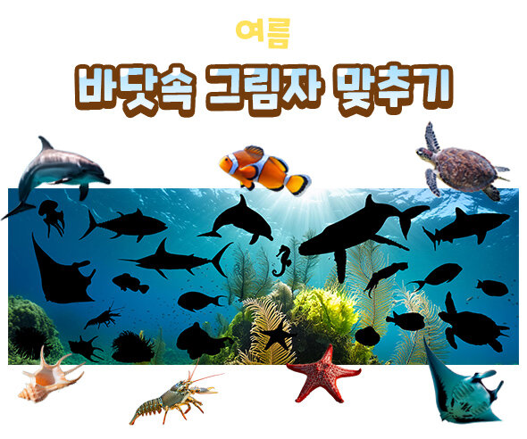 바닷속그림자맞추기