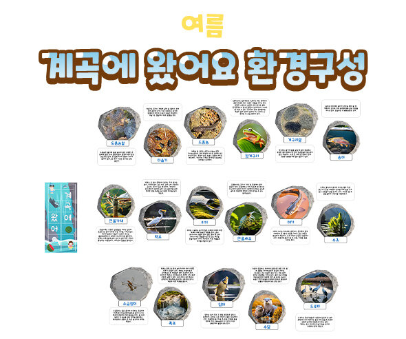 계곡에왔어요환경구성