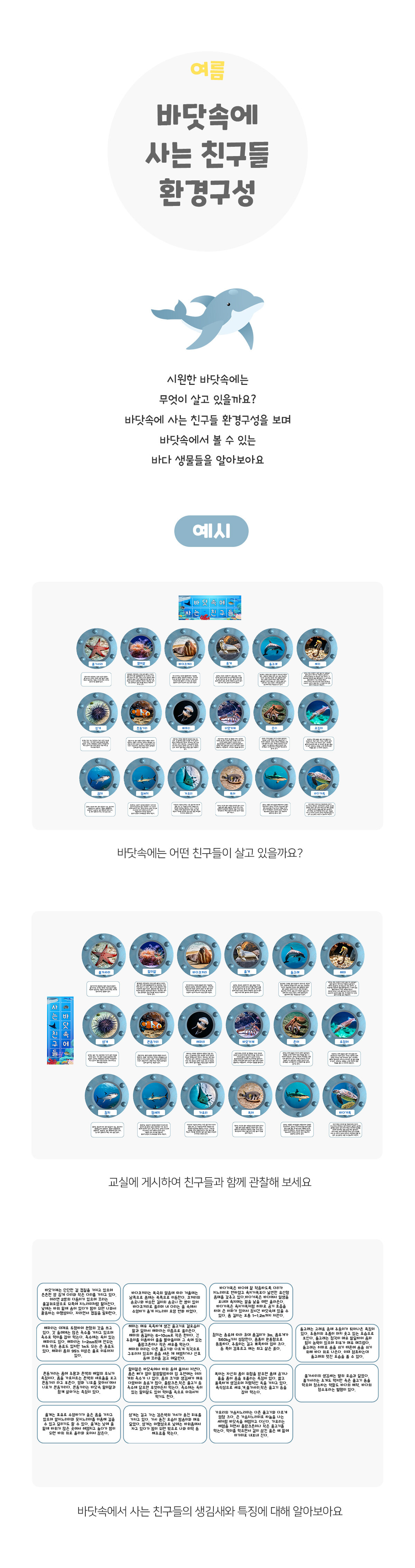 바닷속에사는친구들환경구성 바닷속에사는친구들환경구성