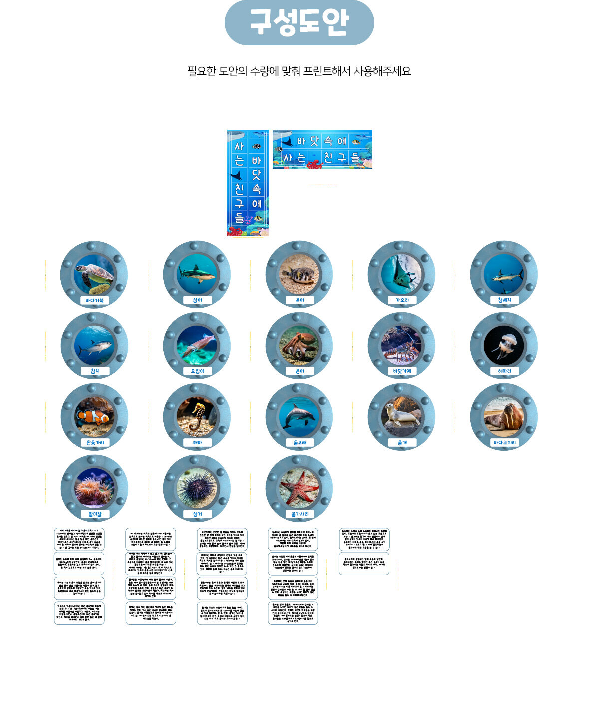 바닷속에사는친구들환경구성 바닷속에사는친구들환경구성