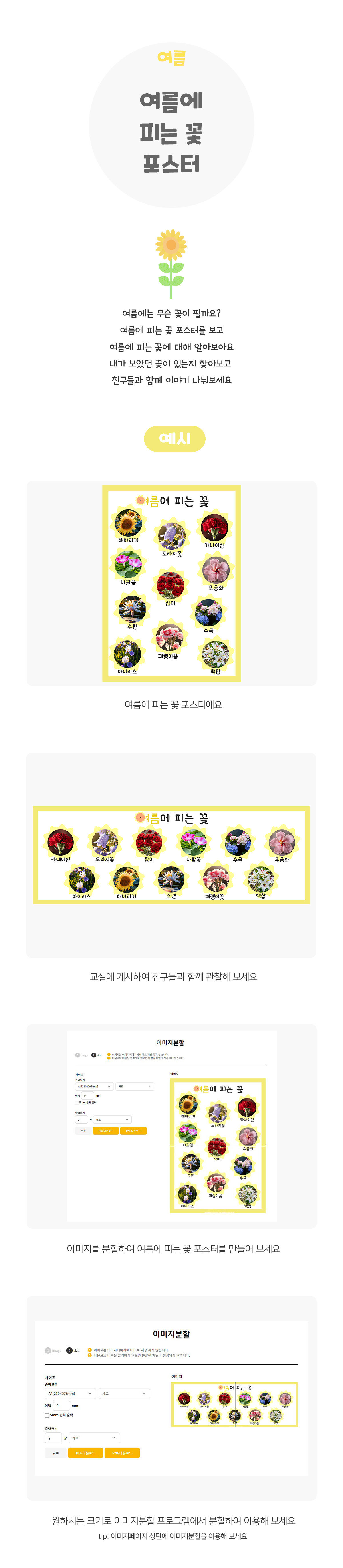 여름에피는꽃포스터