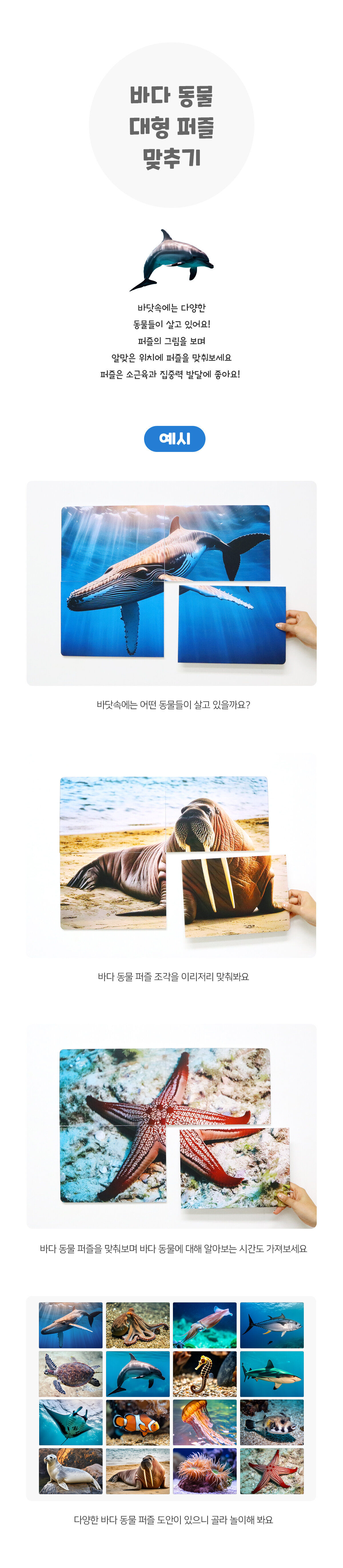 바다동물대형퍼즐맞추기