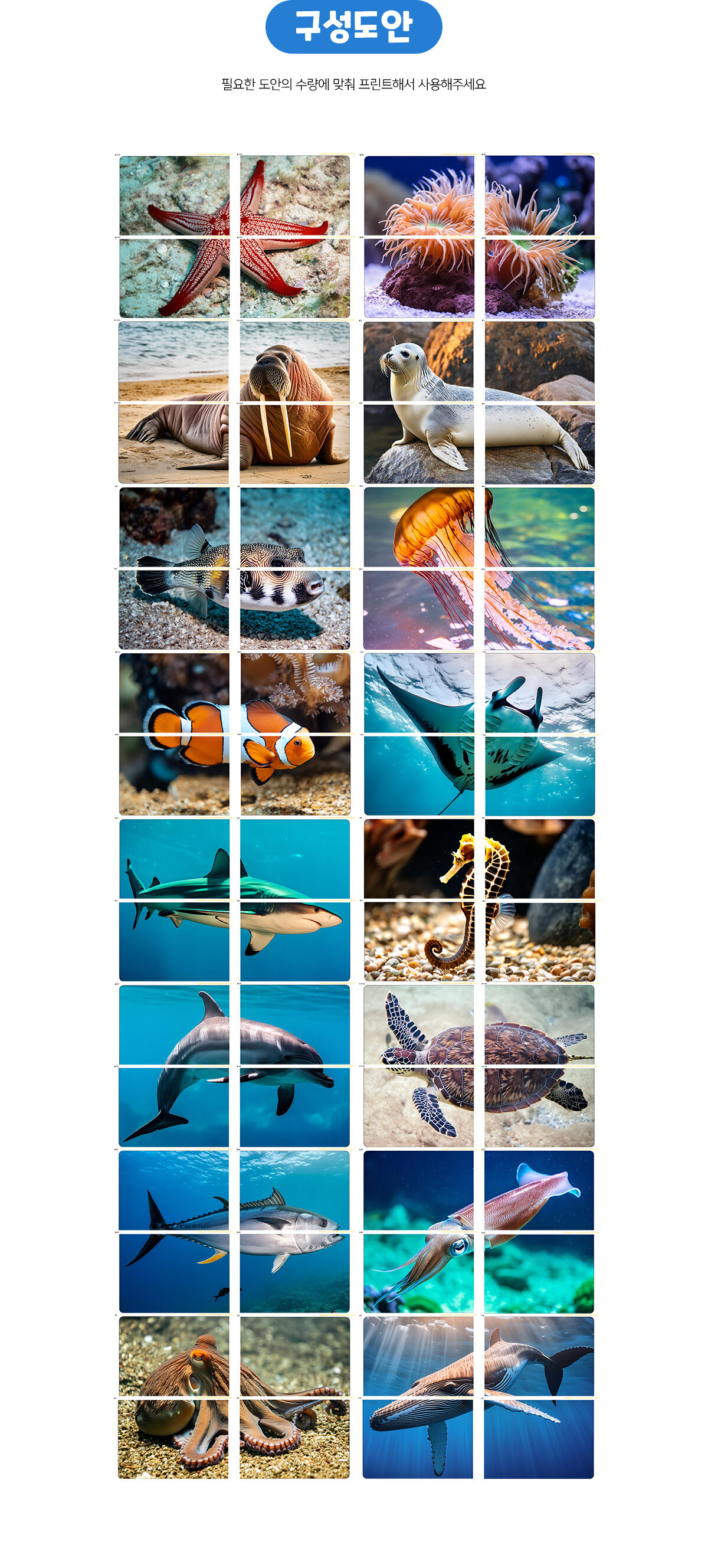 바다동물대형퍼즐맞추기