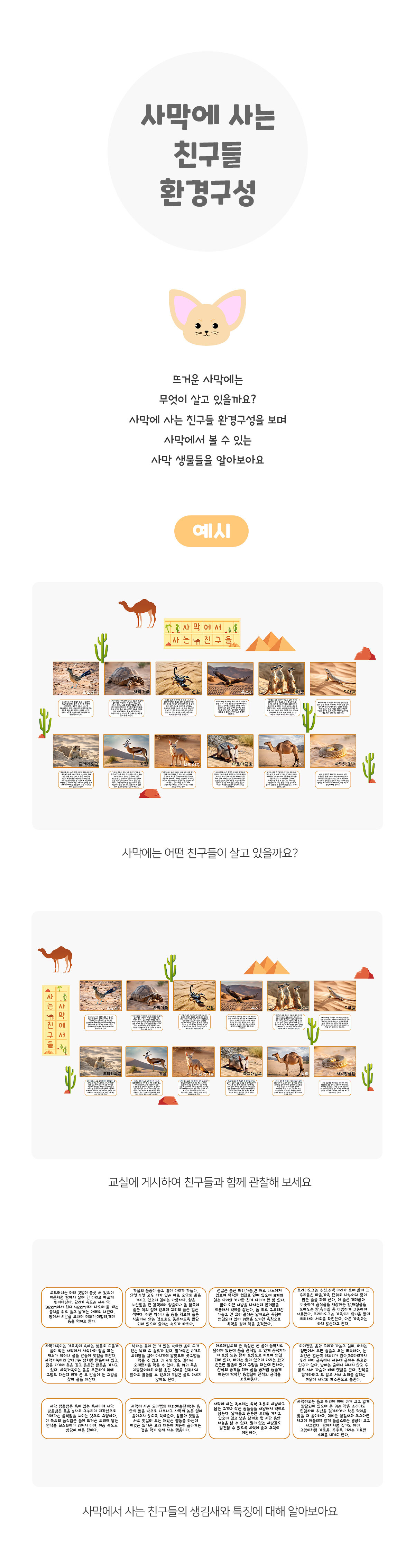 사막에사는친구들환경구성