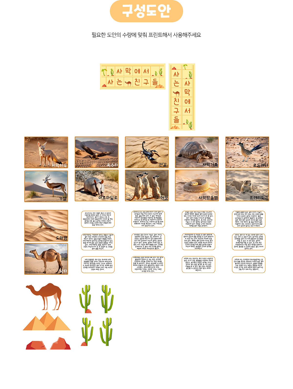 사막에사는친구들환경구성