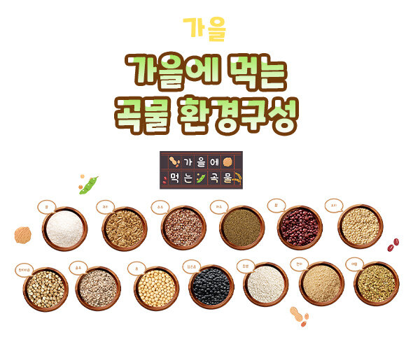 가을에먹는곡물환경구성 가을에먹는곡물환경구성