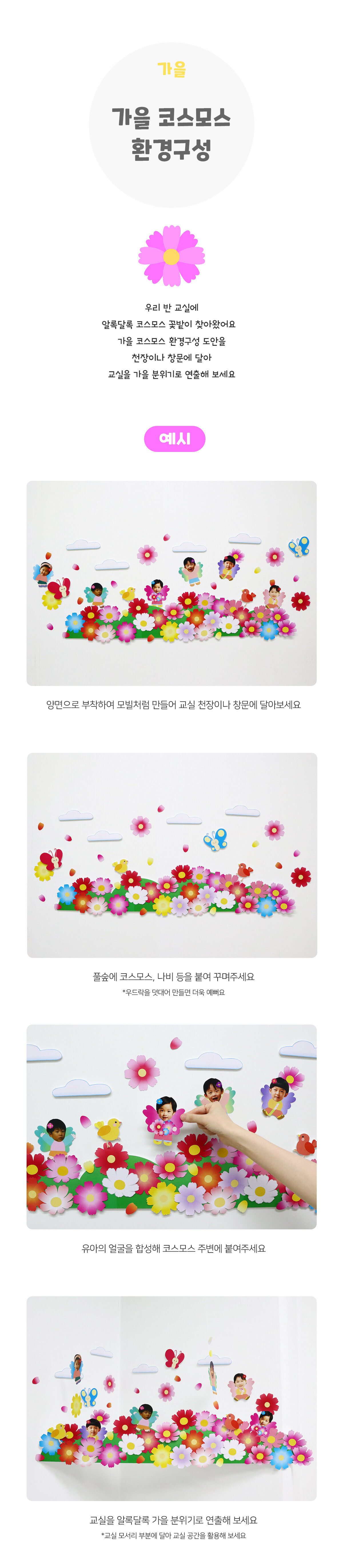 가을코스모스환경구성