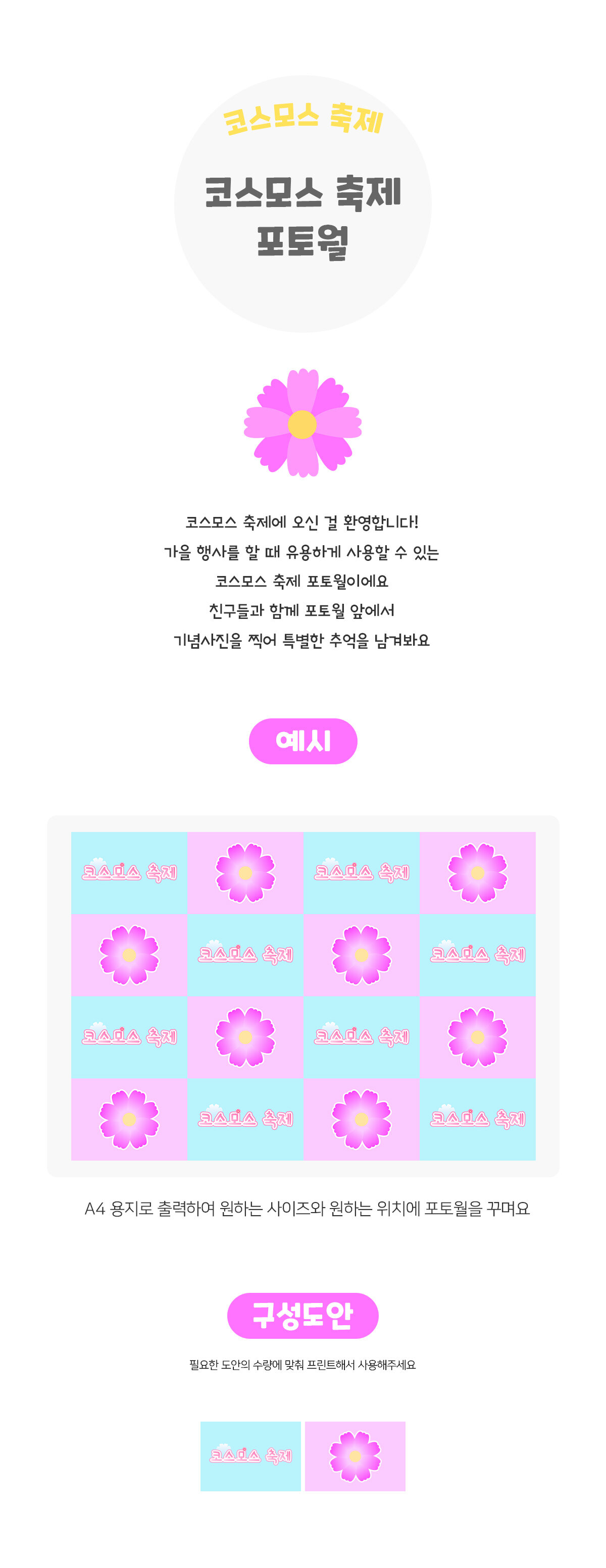 코스모스축제포토월