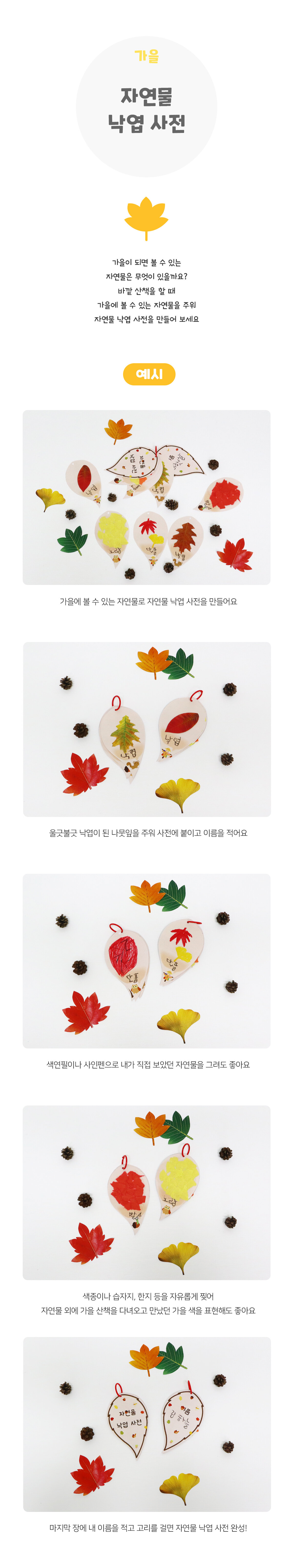 자연물낙엽사전 자연물낙엽사전