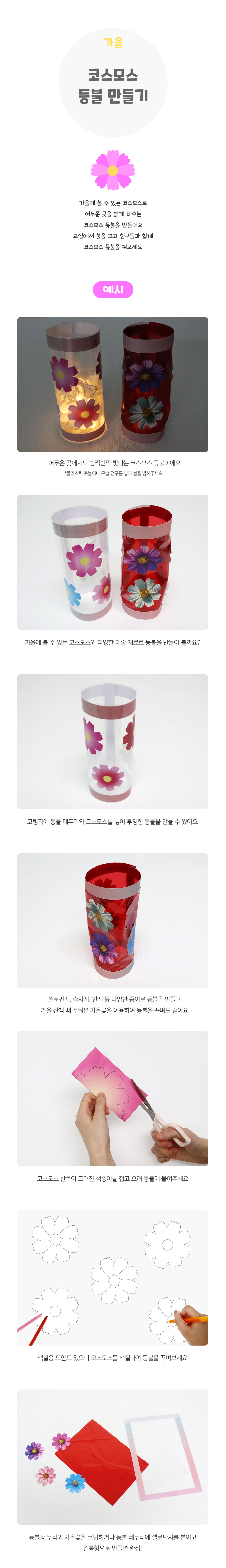 코스모스등불만들기 코스모스등불만들기