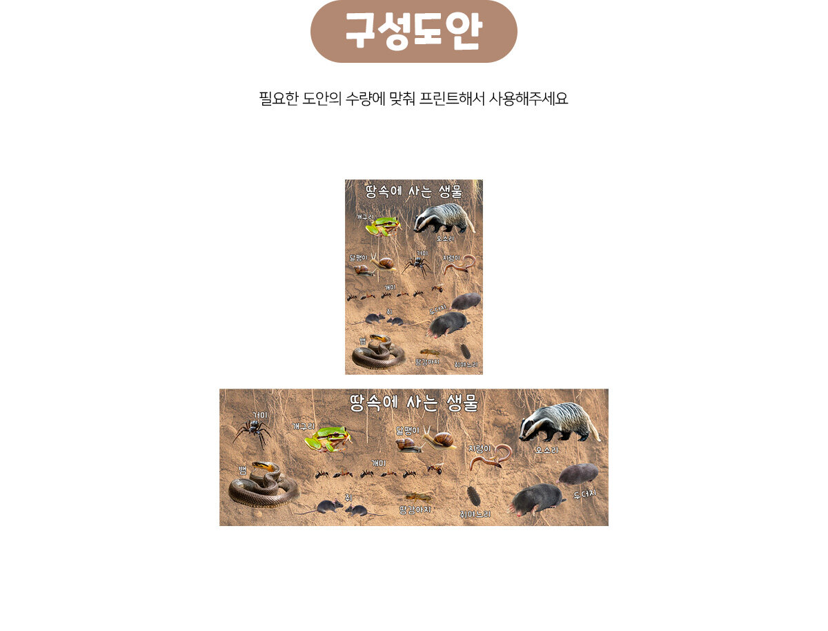 땅속에사는생물포스터